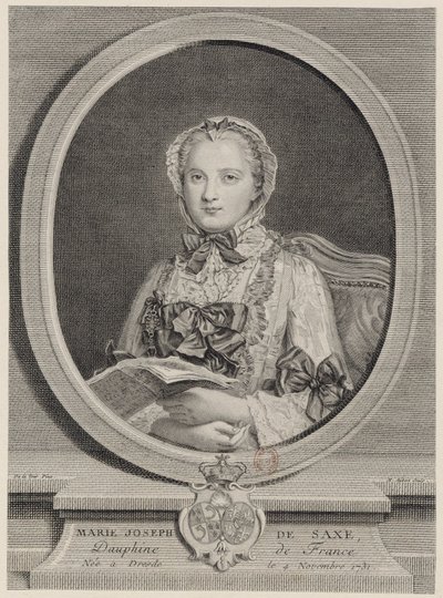 Maria Giuseppa, Delfina di Francia nel 1747 da Michel Aubert